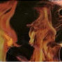 deadalive - hot