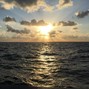 gwynethgwayne - Venus, Florida (Endless Summer)