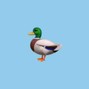 Ducktail - 6am - Migos TYPE BEAT