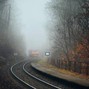 jefflorraine92 - Autumn Fog