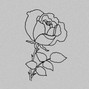 AE. - Rose