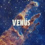 Lui Lombardo - VENÜS  |  @lvilombardo_