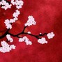 Wize - Cherry Blossoms