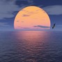 yung suragu - Horizon 170 bpm