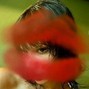 punknb - redlips