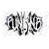 punknb