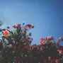 Dylan Landreth - IDK ANYMORE