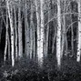 Aprils Funeral - Beat Switch x Mac Miller X JID type beat "Mood Swings"[BPM 150-155]