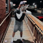 fukk2beatz - Kingtut