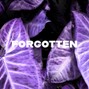 Monityel - FORGOTTEN