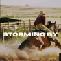 Alex Thrive  - Alex Thrive-Storming By(Country Rap)
