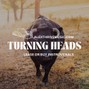 Alex Thrive  - Turning Heads (Hudson Westbrook Country Type Beat)