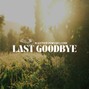 Alex Thrive  - Last Goodbye (Hardy Country Rap Instrumental)