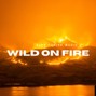 Alex Thrive  - Luke Combs Country Anthem Type Beat-Wild On Fire