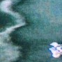 ch4ch - WAVS