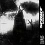 VSURP - SPIRIT