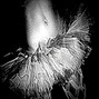 marcy madeline - high fashion