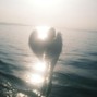 catalyst88 - MOURNING