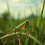 ProdGrizz - GrassHopper ~~Grizz~~