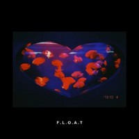 F.L.O.A.T