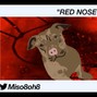 Miso 808 - RED NOSE