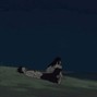kounvibz - miss u | acoustic guitar + indie
