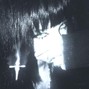 Nyx808 - Nightcrawler
