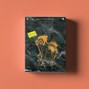 Lord Ghost - Unfair (Guitar Loop Kit)