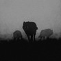 Lord Ghost - wrong way