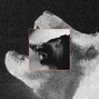 Lord Ghost - everybody dies