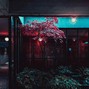Kalamari - Nothing Lasts Forever 