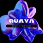 Join.ka47 - Guaya Zone-7 Join.Ka47