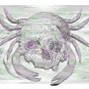 le crabe - CR0W