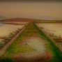 LUMINARY - Mulranny