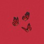 LUMINARY - life