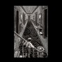 LUMINARY - Fractal