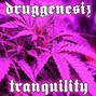 DRUGGENESIZ - TRANQUILITY
