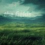 everglades - the fields