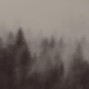 birch - I Try My Best