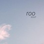 SOUP - roo