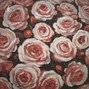 S.R. KTNZ - rose