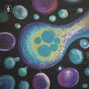 S.R. KTNZ - protozoa