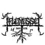 Flenesse - Why ?