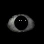 nSouth - Darkness