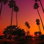 theislandmvtii - night sky