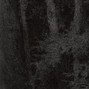 krizek - influence