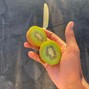 alanfor - kiwi
