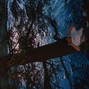 alanfor - 6four