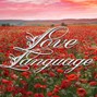 drewtothemusic - Love Language