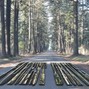 drewtothemusic - Forest Drive